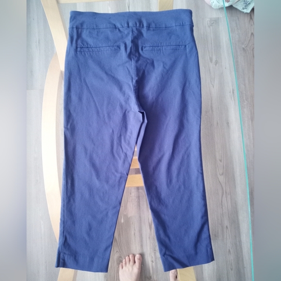 RW&CO. Navy Capri Slacks - Picture 3 of 3